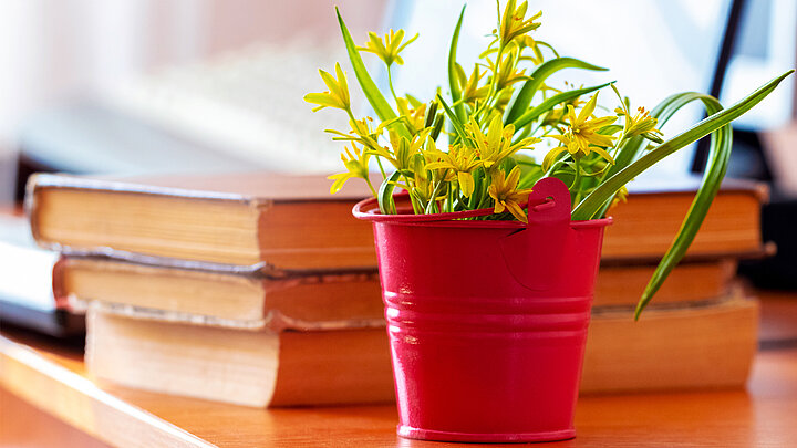 na stole stos książek, przed nimi małe czerwone wiaderko z żółtymi kwiatkami 