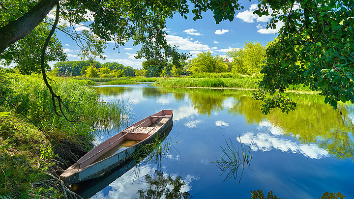 słoneczny dzień, błękitne niebo, jezioro, dookoła zieleń, przy brzegu łódka